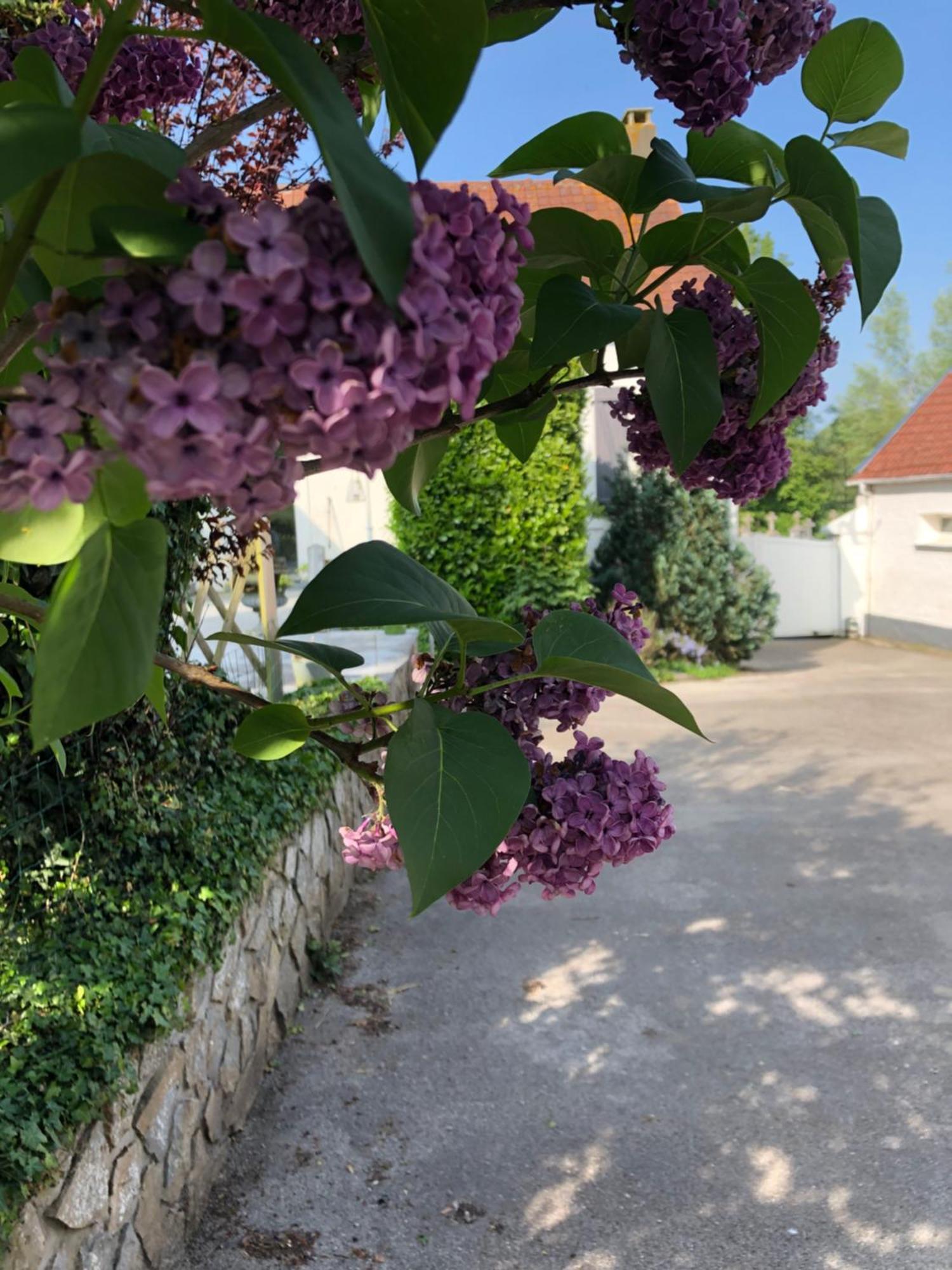 Le Clos De La Pommeraie Carly Ngoại thất bức ảnh